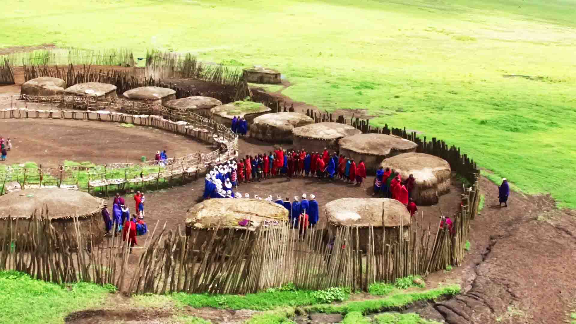 Maasai lifestyle
