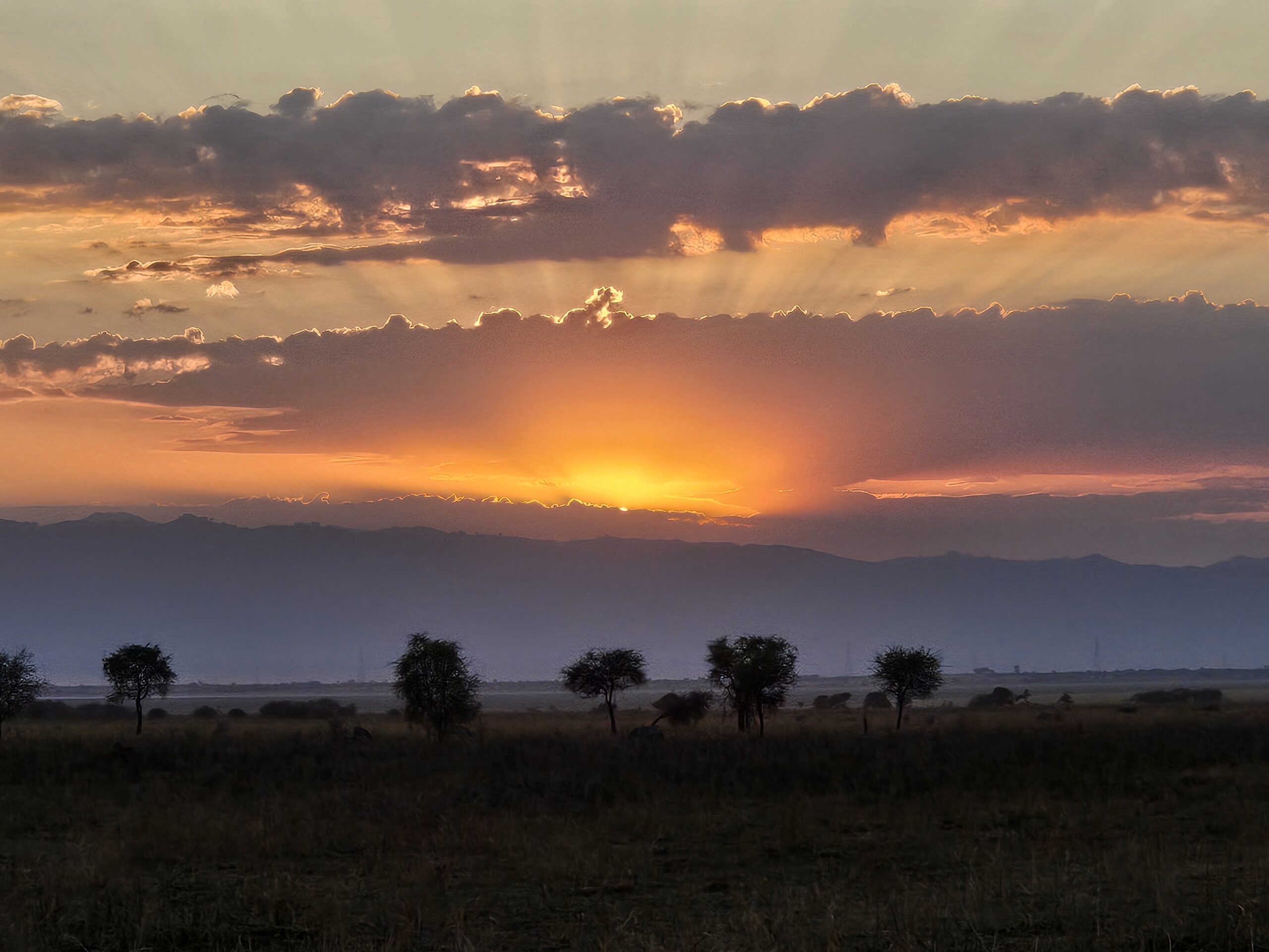 Tarangire sunset